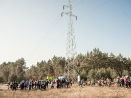 Sprzatanie swiata 15.03.25 Fordon